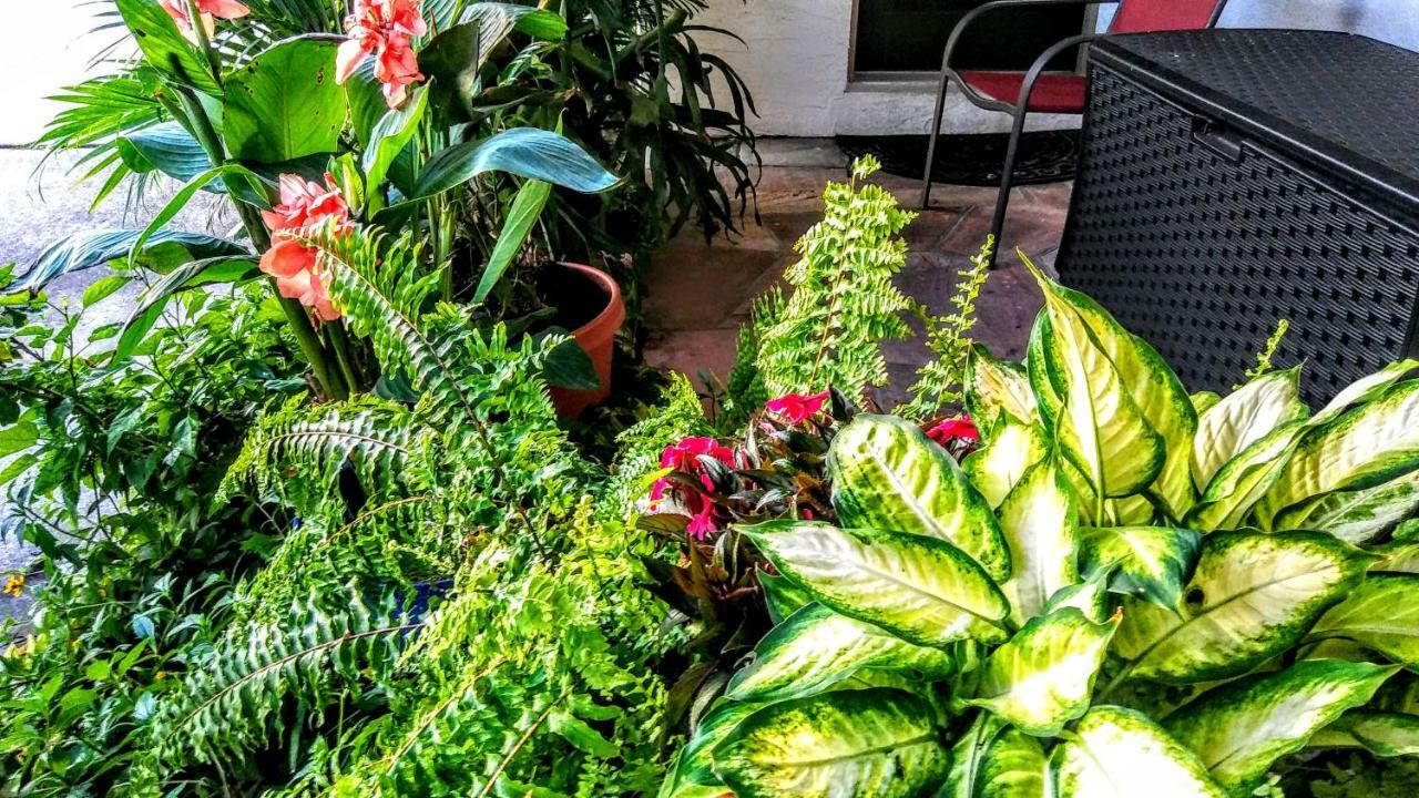 3000 Sq Ft Beach And Bay Condo St. Pete Beach Bagian luar foto